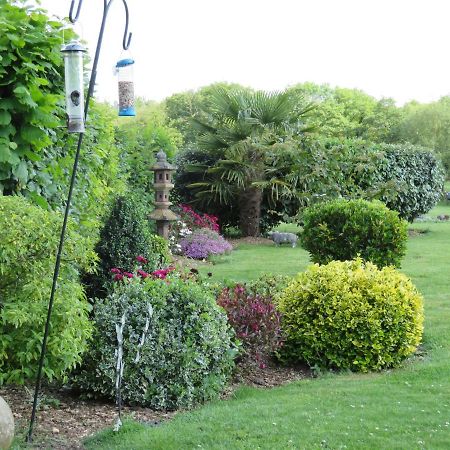 Mundford Acer Lodge Bed & Breakfast المظهر الخارجي الصورة