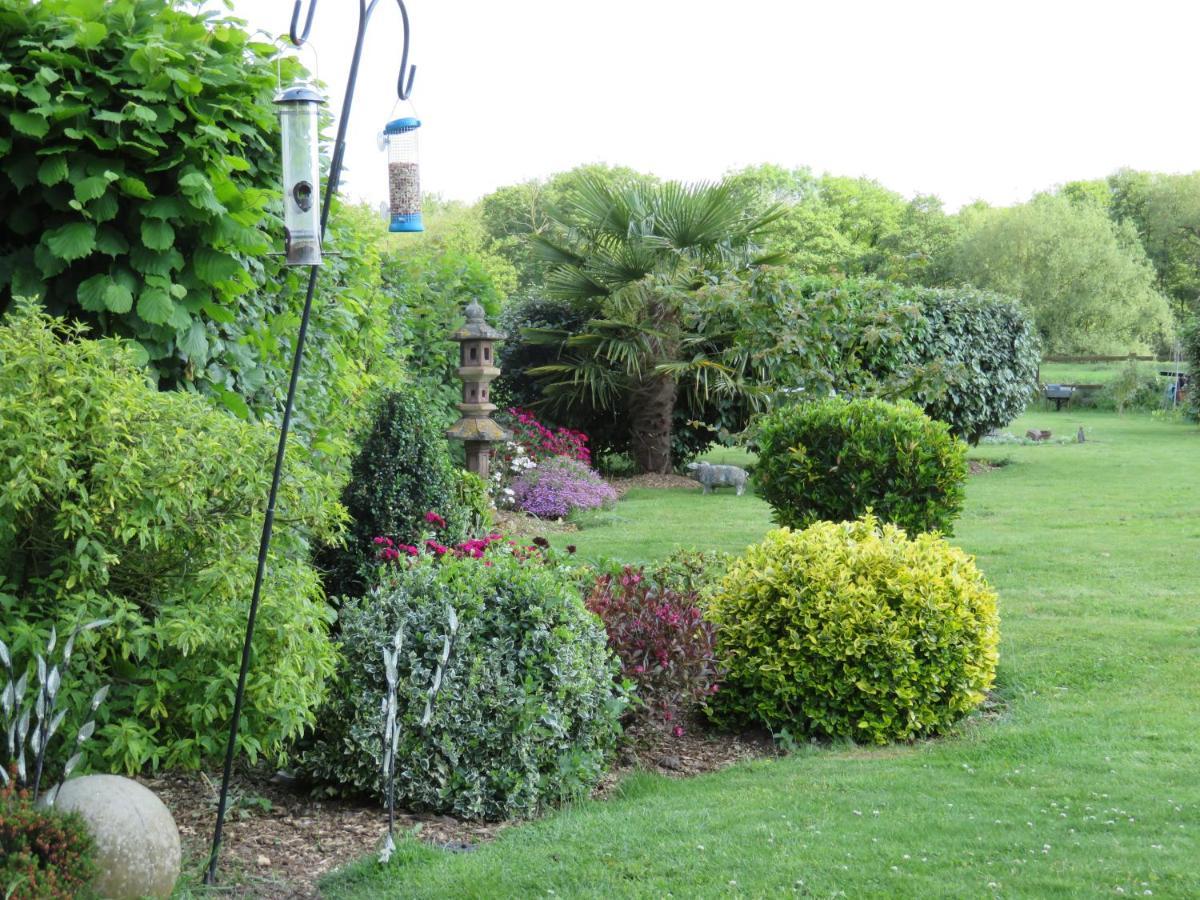 Mundford Acer Lodge Bed & Breakfast المظهر الخارجي الصورة